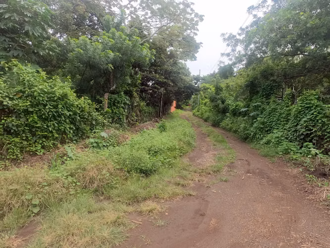OPORTUNIDAD VENDO TERRENO JUAYÚA. SONSONATE