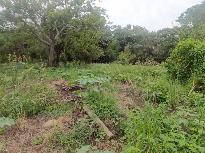 OPORTUNIDAD VENDO TERRENO JUAYÚA. SONSONATE