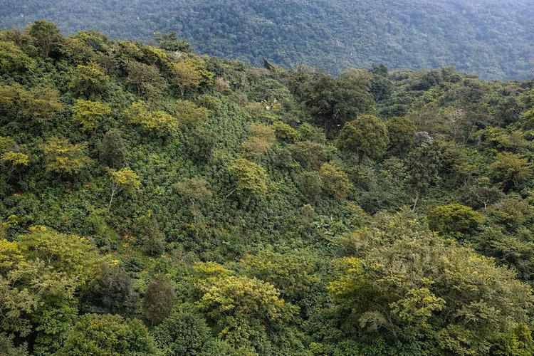FINCA CON VOCACION TURISTICA (TEOTEPEQUE, LA LIBERTAD) - Imagen 2