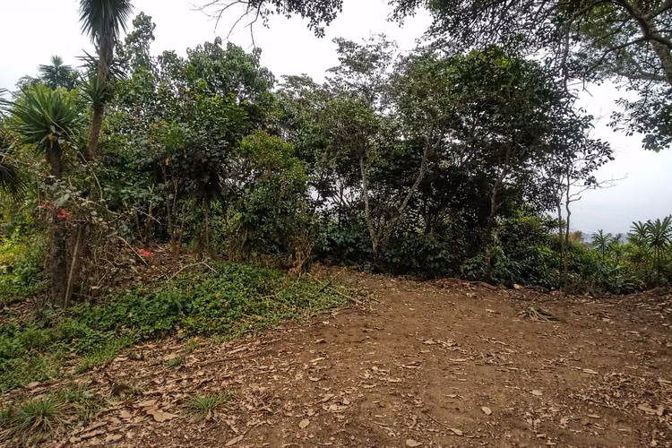 FINCA CON VOCACION TURISTICA (TEOTEPEQUE, LA LIBERTAD) - Imagen 5