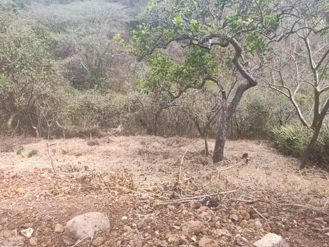 VENDO TERRENO CERCA DEL CENTRO DE CHALATENANGO