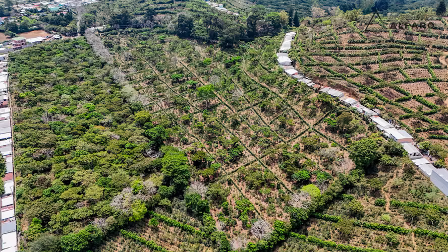 Amplio Terreno en Apaneca de 8,672  m² con potencial de alta rentabilidad - Imagen 8