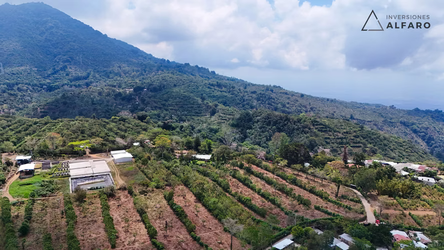 Amplio Terreno en Apaneca de 8,672  m² con potencial de alta rentabilidad - Imagen 5