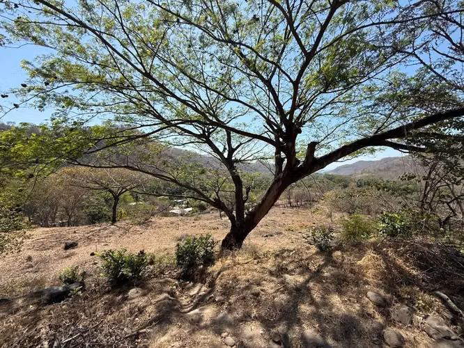 VENTA DE TERRENOS LA LIBERTAD