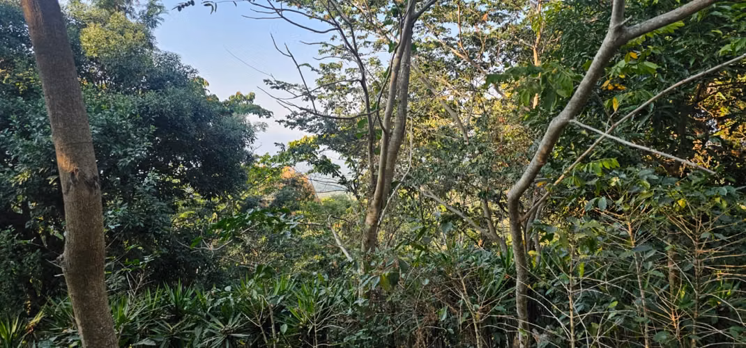 TERRENOS EN VENTA IDEAL PARA VIVIENDA ( 1 MANZANA DE TERRENO C/U ) A 15 MINUTOS DE ATIQUIZAYA