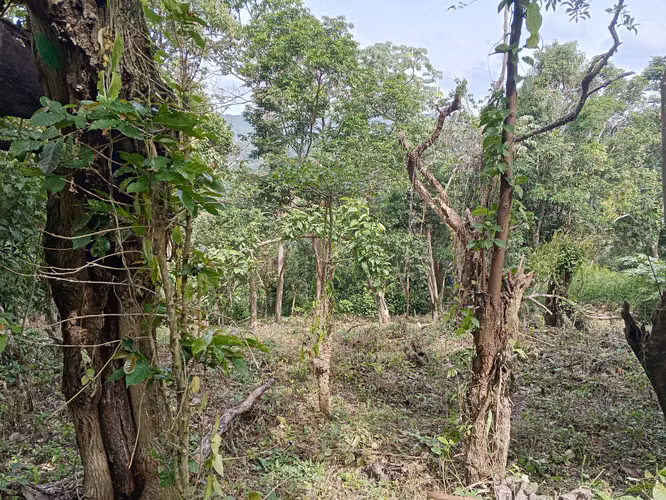 EN VENTA 1 MANZANA EN COMASAGUALA LIBERTAD, EL SALVADOR