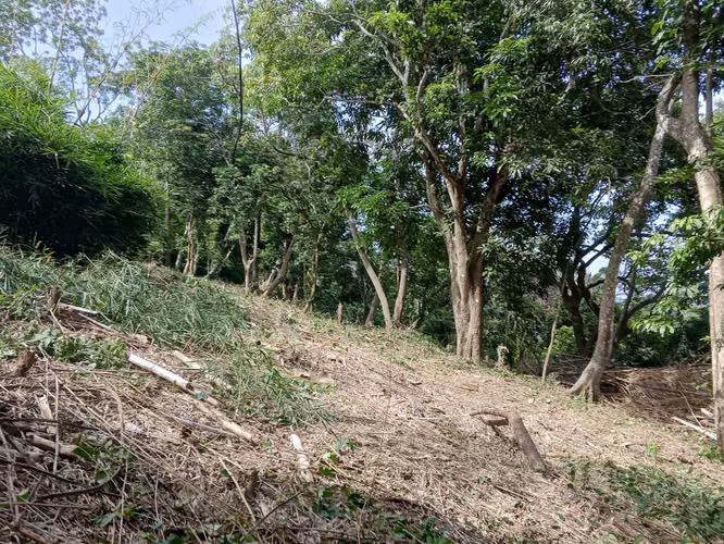 EN VENTA 1 MANZANA EN COMASAGUALA LIBERTAD, EL SALVADOR