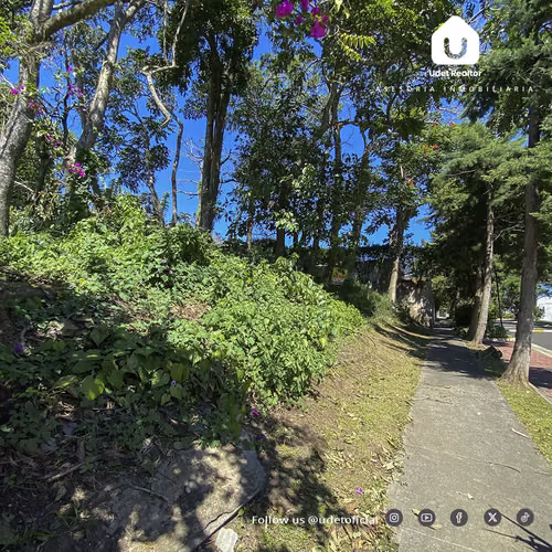 Lote en Alturas de Tenerife con 1234 v2. Santa Tecla. - Imagen 5