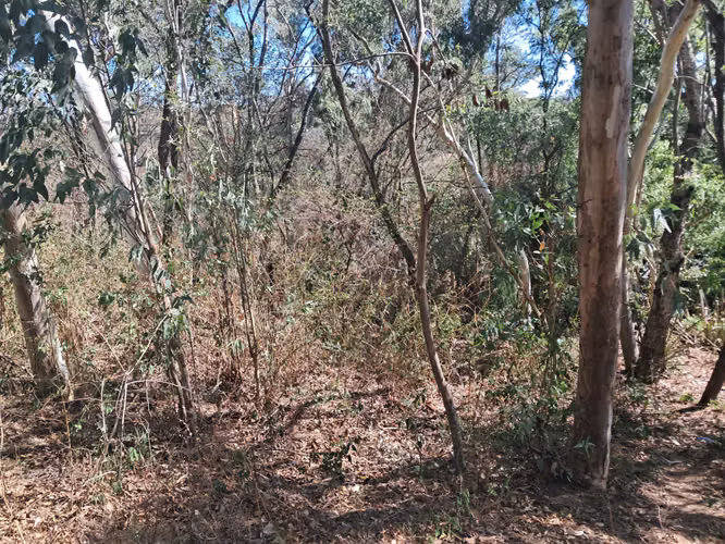 TERRENO EN VENTA, ZAPOTITAN - Imagen 2