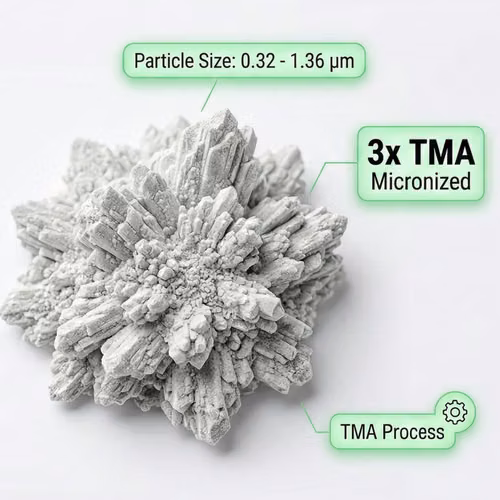 Zeolita Clinoptilolita 95%