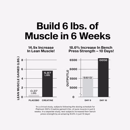 MuscleTech Platinum - Monohidrato de creatina en polvo, micronizada para recuperación muscular y aumentar la musculatura - Imagen 3