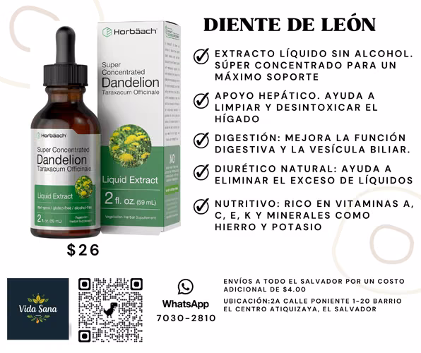 Potente estracto de diente de león derivado de la raíz de la planta Taraxacum officinale