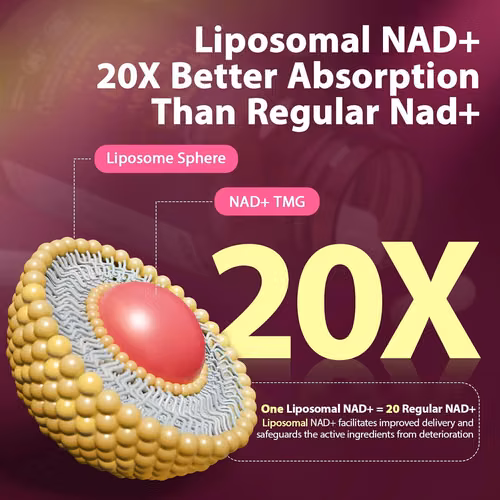 El NAD+ liposomal de Sizyok combina trans-resveratrol altamente biodisponible con tecnología de liposomas