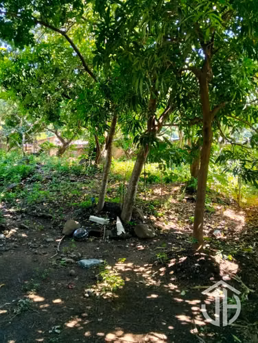 Lago de coatepeque