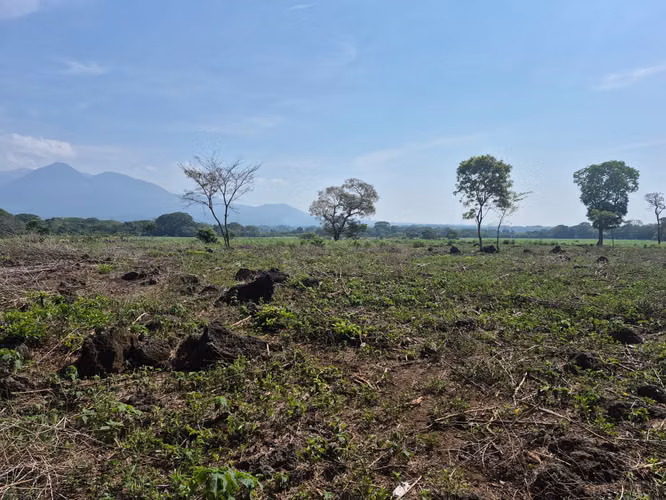 Terreno en Sonsonate - Imagen 2