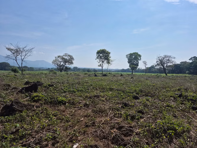 Terreno en Sonsonate - Imagen 3