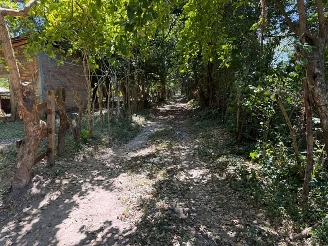 Venta de Terreno de 5 manzanas en Zacatecoluca, La Paz excelente inversion - Imagen 4