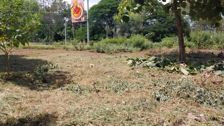 Terreno de Alto Potencial Comercial en la Entrada de San Miguel