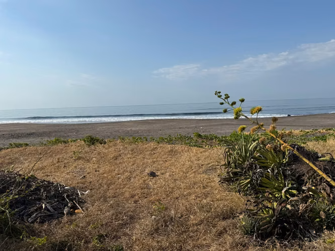 TERRENO PREMIUM EN VENTA EN PLAYA SIHUAPILAPA