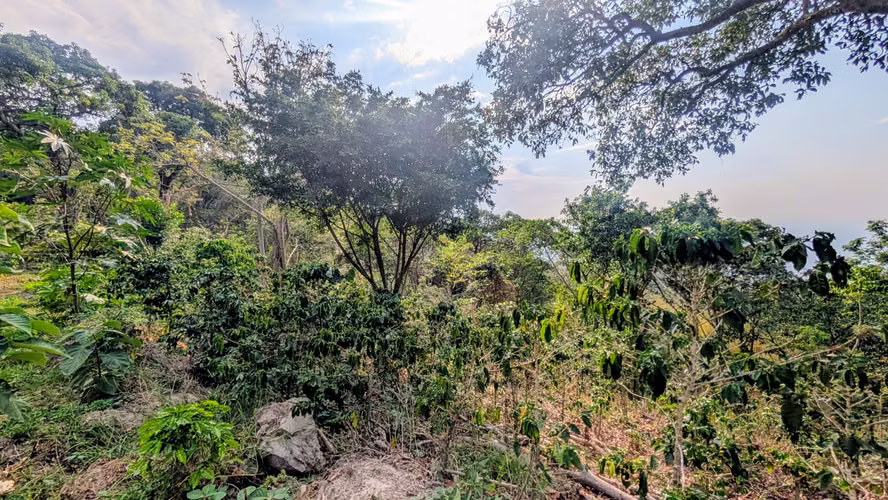 ¡LO MÁS BARATO EN EL VOLCÁN! 20,258 v² a solo $10.50/v² - Imagen 8