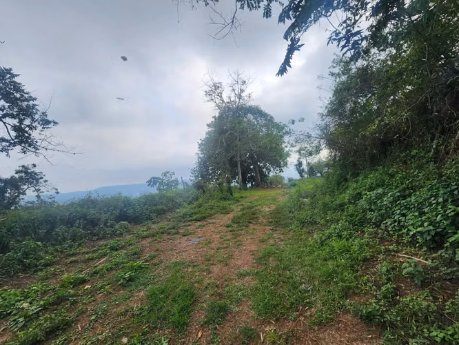 EN VENTA TERRENO 2,167.6 V² TURÍSTICAS EN COMASAGUA