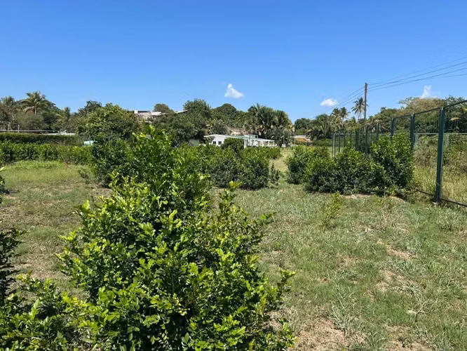 TERRENO EN VENTA EN CALUCO SONSONATE
