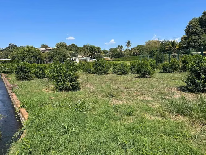 TERRENO EN VENTA EN CALUCO SONSONATE
