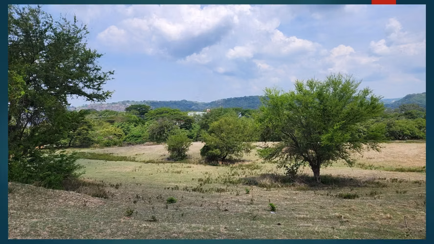 TERRENO EN VENTA A 3 KM DE AEROPUERTO COMALAPA - Imagen 5
