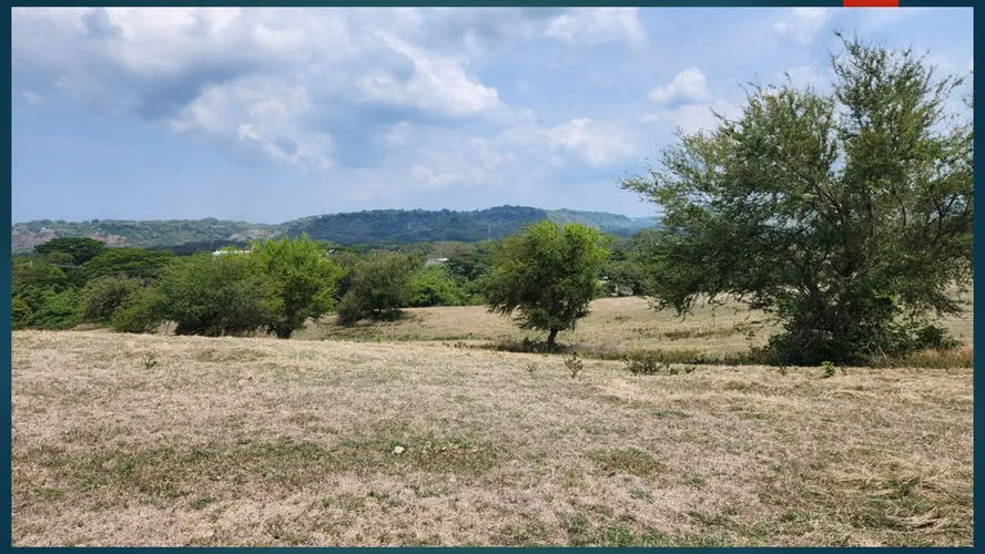 TERRENO EN VENTA A 3 KM DE AEROPUERTO COMALAPA - Imagen 2