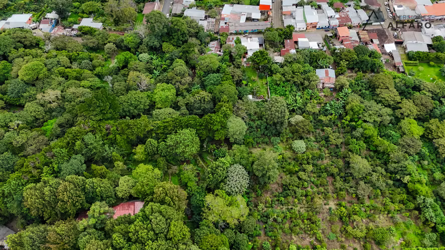 Amplio terreno de 4793 v2 en zona urbana de Apaneca - Imagen 9