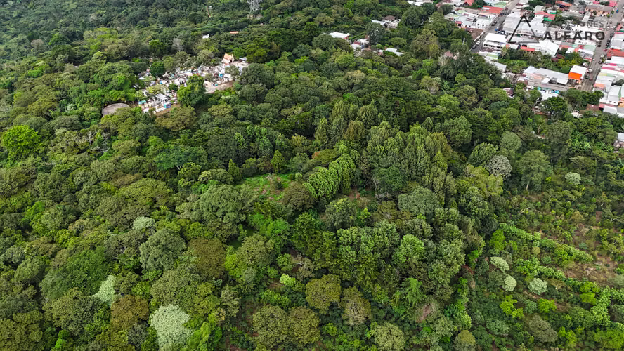 Amplio terreno de 4793 v2 en zona urbana de Apaneca - Imagen 14