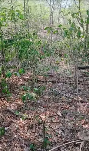 TERRENO EN VENTA PUNTAMANGO-SURF CITY II - Imagen 9