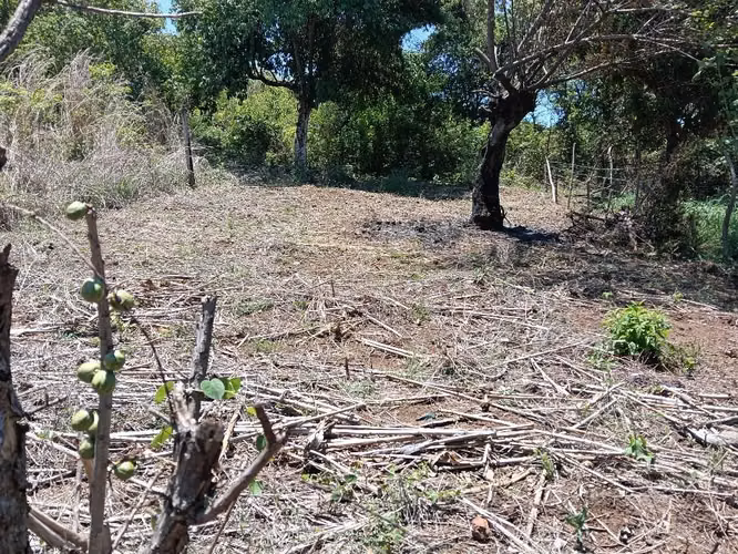 Terreno zona rural