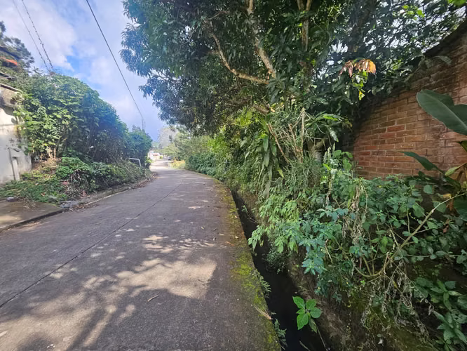 VENTA DE TERRENO – RUTA LOS NARANJOS (SAN JOSÉ LA MAJADA) - Imagen 4