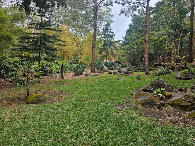 VENTA DE TERRENO – RUTA LOS NARANJOS (SAN JOSÉ LA MAJADA) - Imagen 9