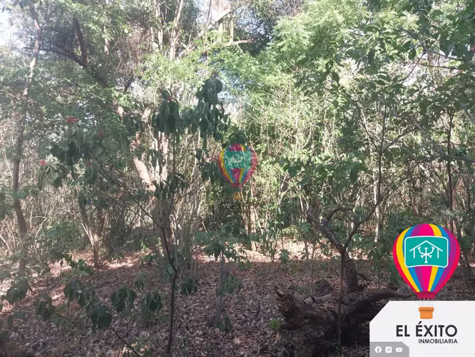 VENDO PRECIOSA FINCA DE 5 MANZANAS EN SACACOYO, LA LIBERTAD