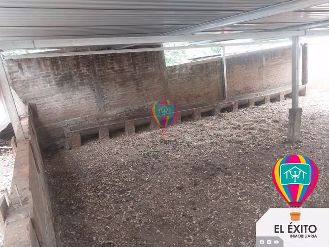 VENDO PRECIOSO TERRENO DE 5 MANZANAS EN IZALCO, SONSONATE