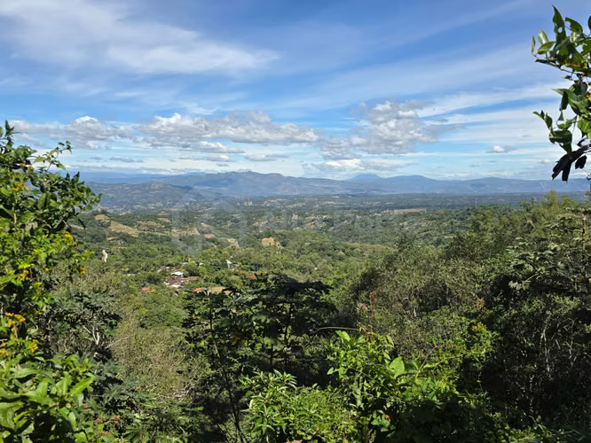 Coffee farm for sale in Tacuba, Ahuachapán