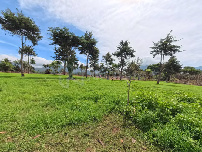 Lotes en venta en Juayúa (Residencial exclusivo) - Imagen 2