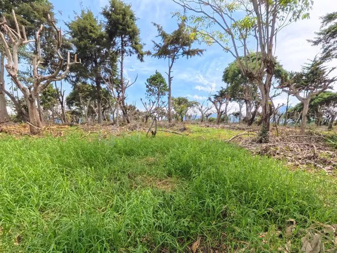 Lotes en venta en Juayúa (Residencial exclusivo) - Imagen 12