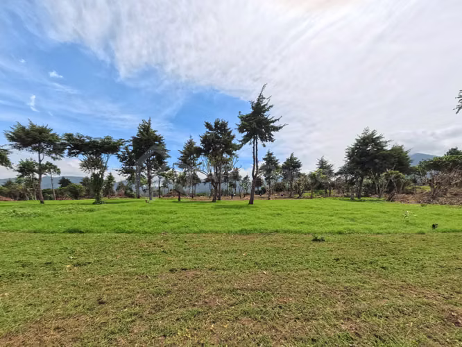 Lotes en venta en Juayúa (Residencial exclusivo) - Imagen 11