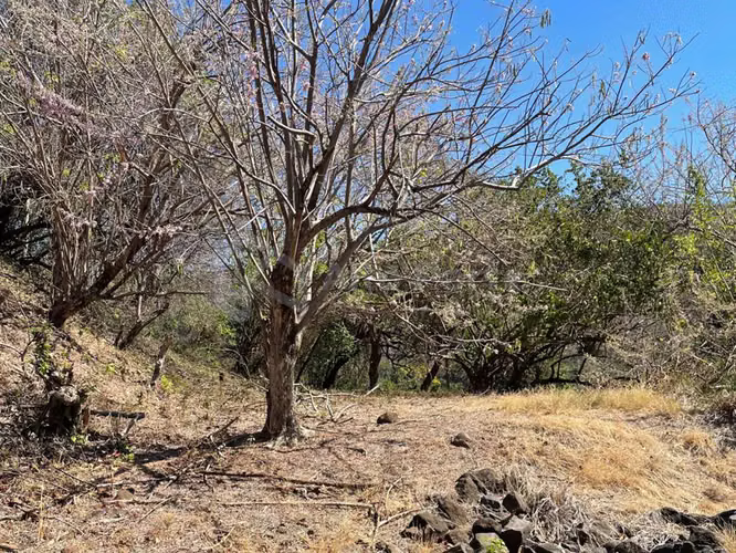 Terreno frente al mar en venta en La Libertad | Vistas panorámicas al Pacífico - Imagen 4