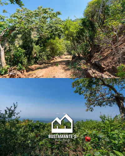 VENTA DE FINCA ATACO