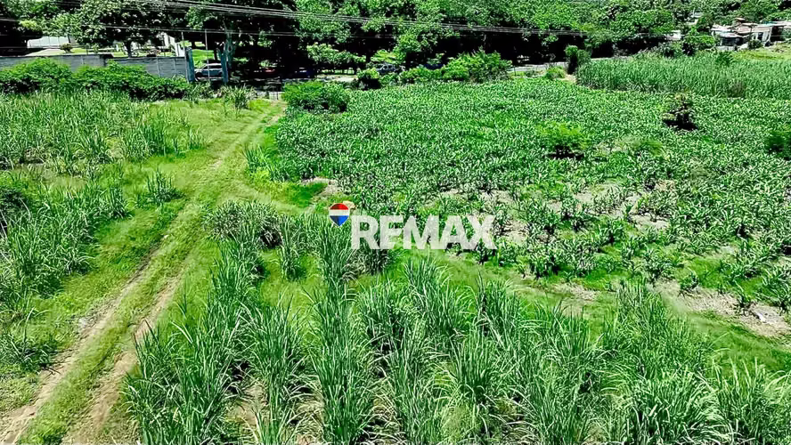 TERRENO DE DIEZ MANZANAS EN SANTA ANA, FRENTE A CARRETERA - Imagen 7