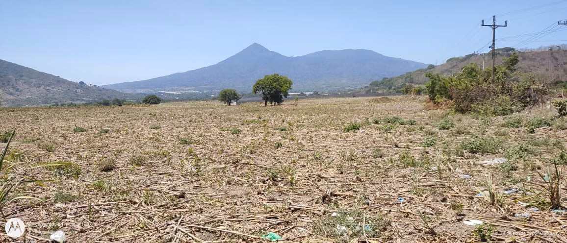 TERRENO EN VENTA/NEJAPA CALLE A MIDES - Imagen 6