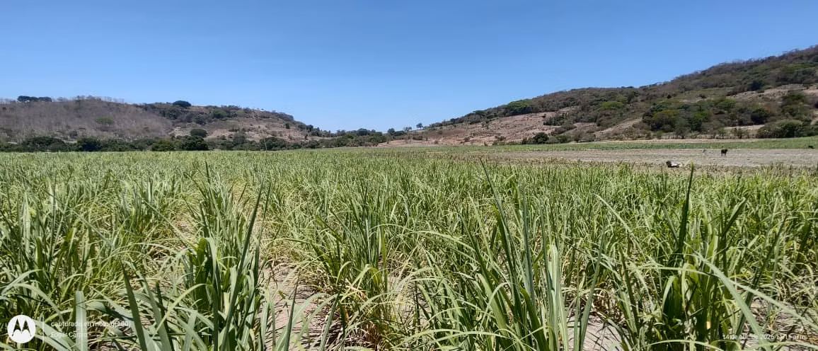 TERRENO EN VENTA/NEJAPA CALLE A MIDES - Imagen 5