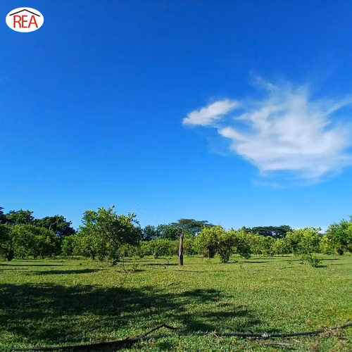 En venta | Propiedad productiva en Comarca Cofradía, Nicaragua