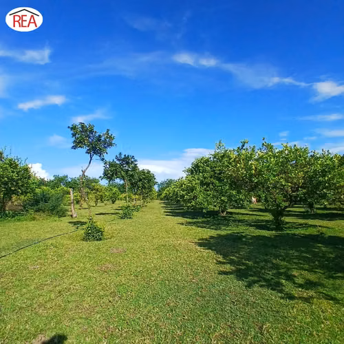 En venta | Propiedad productiva en Comarca Cofradía, Nicaragua