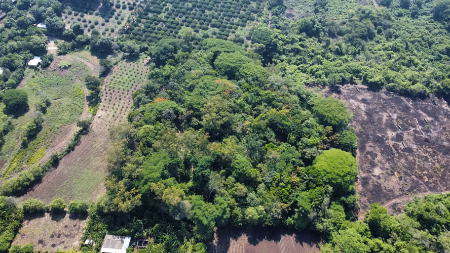 Terreno en Venta en Zapotitlán, Ciudad Arce