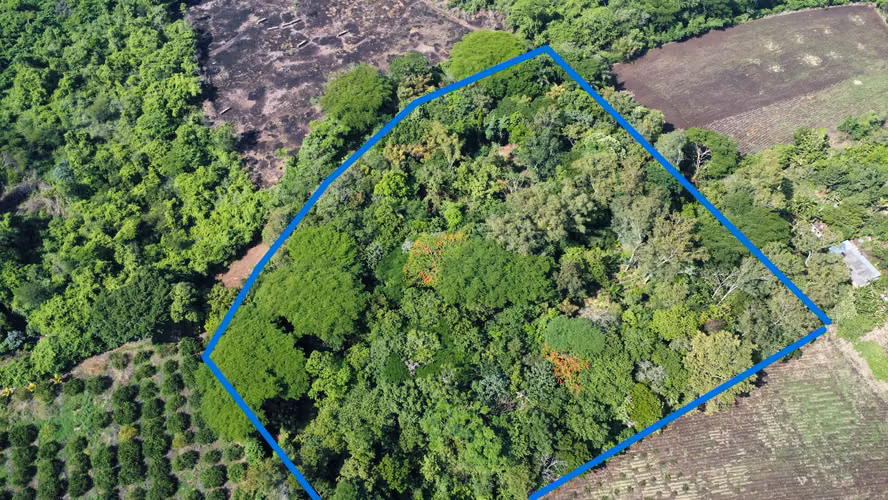 Terreno en Venta en Zapotitlán, Ciudad Arce